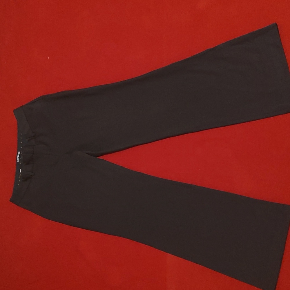 Express Flare Leg Dress Pants